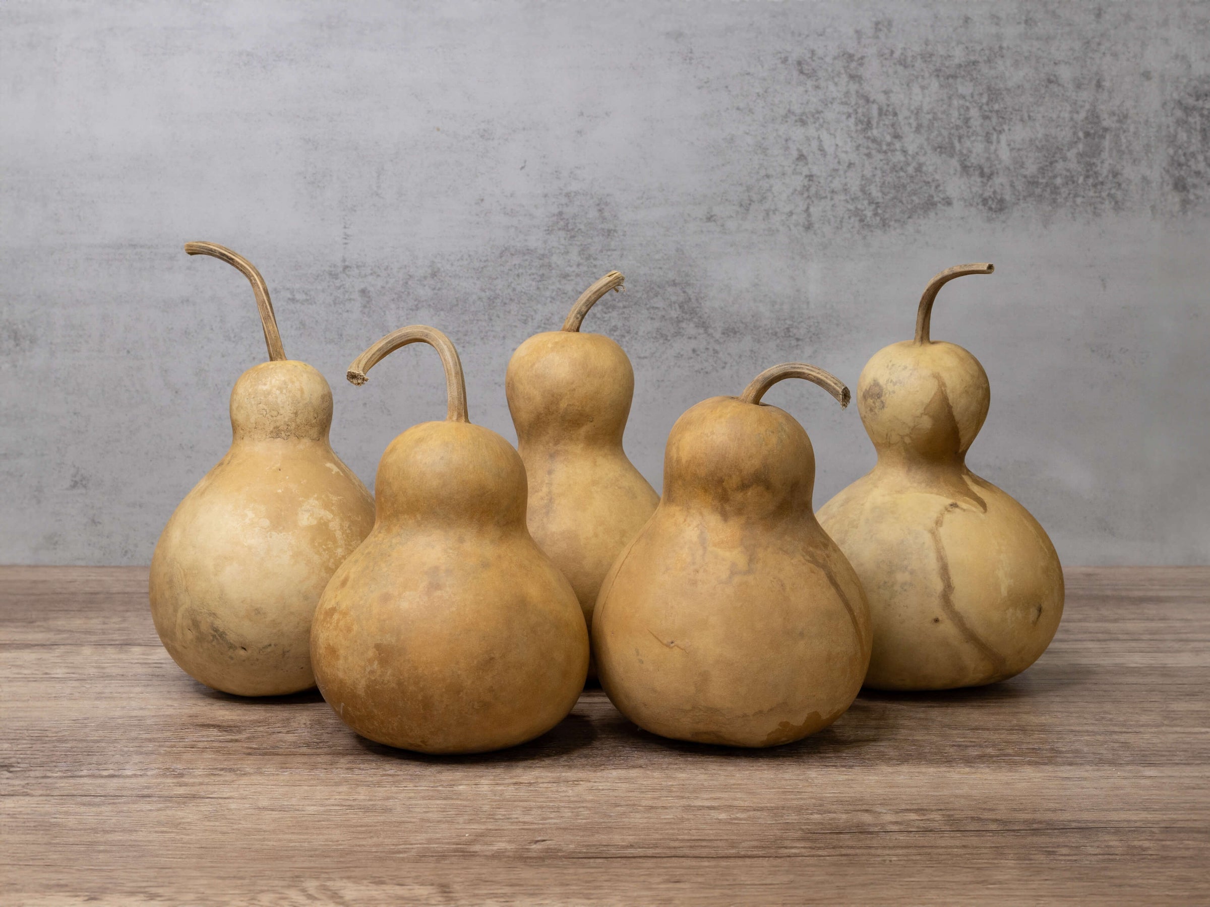 Bottle Gourds