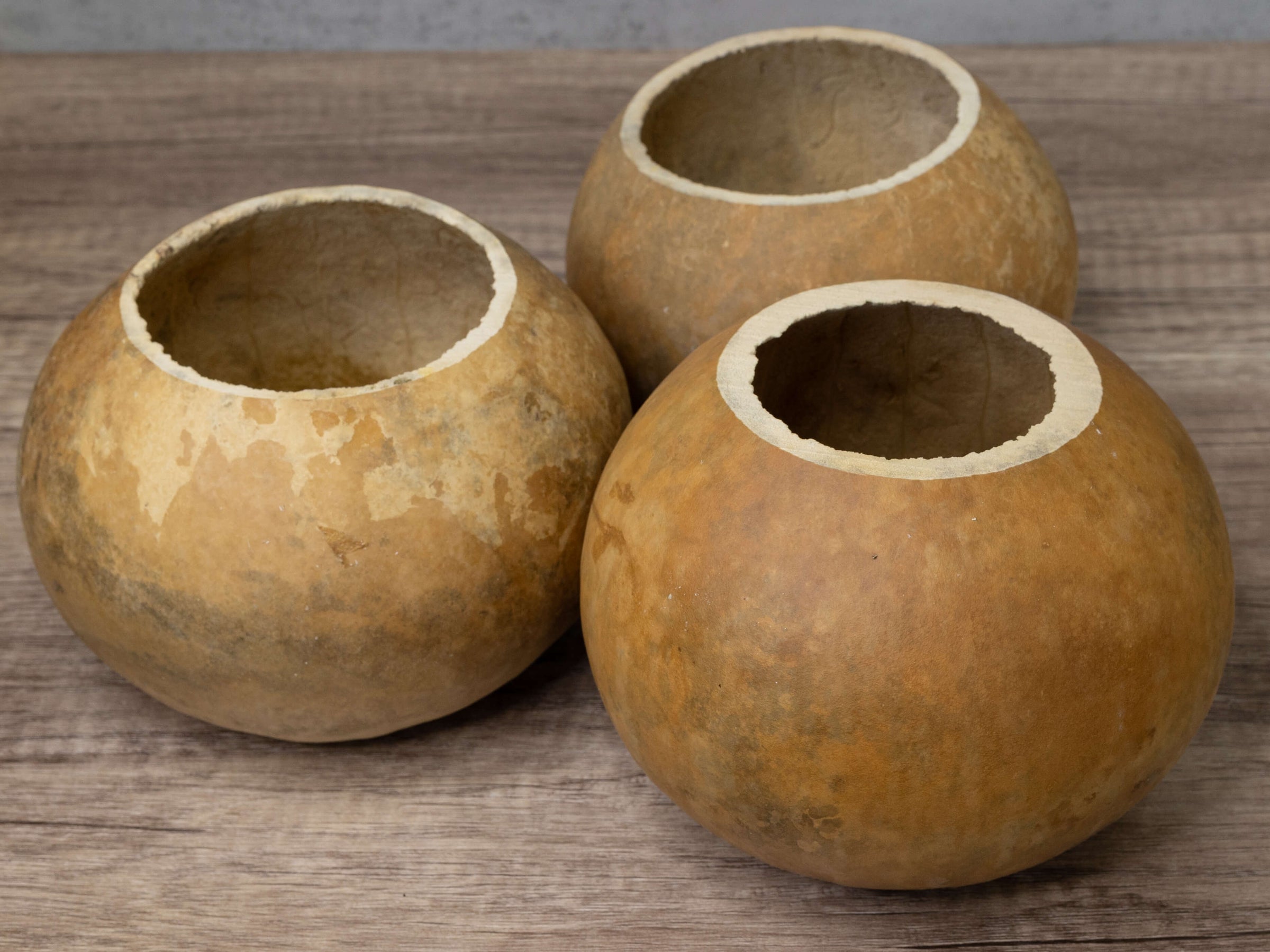 Cut Gourd Bowls