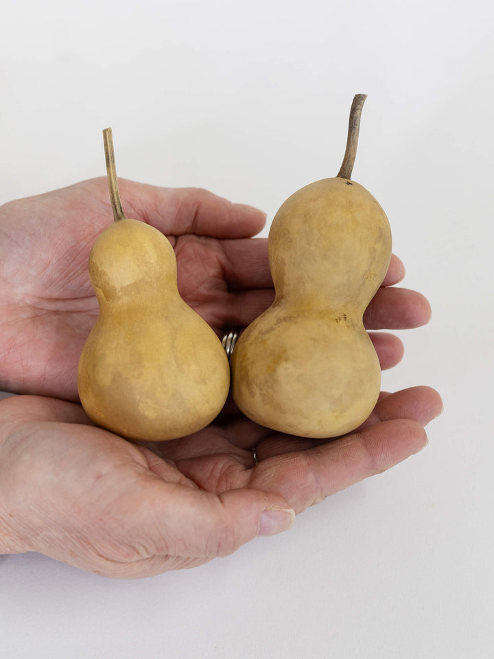 Two inch martin gourds at Meadowbrooke Gourds