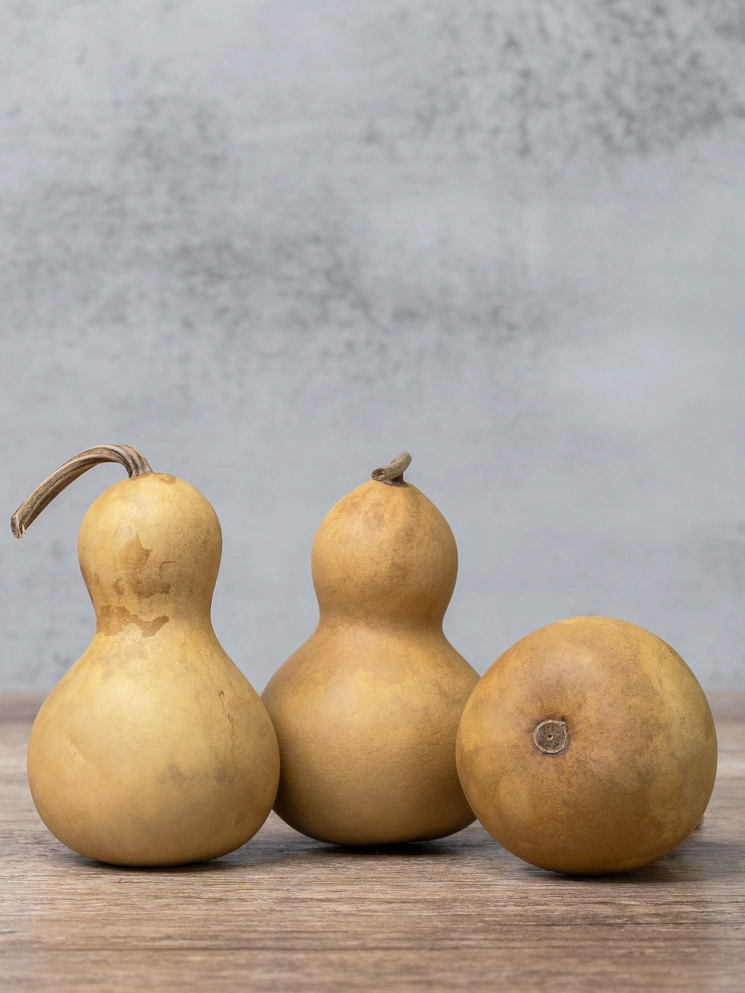 Two inch mini bottle gourds at Meadowbrooke Gourds