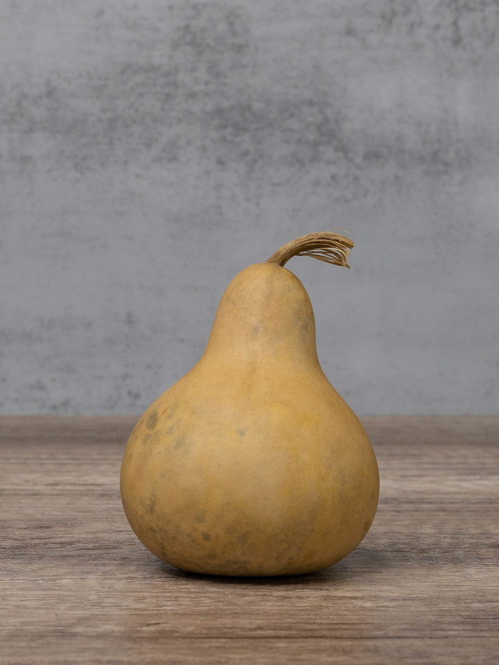 Three inch martin gourd at Meadowbrooke Gourds