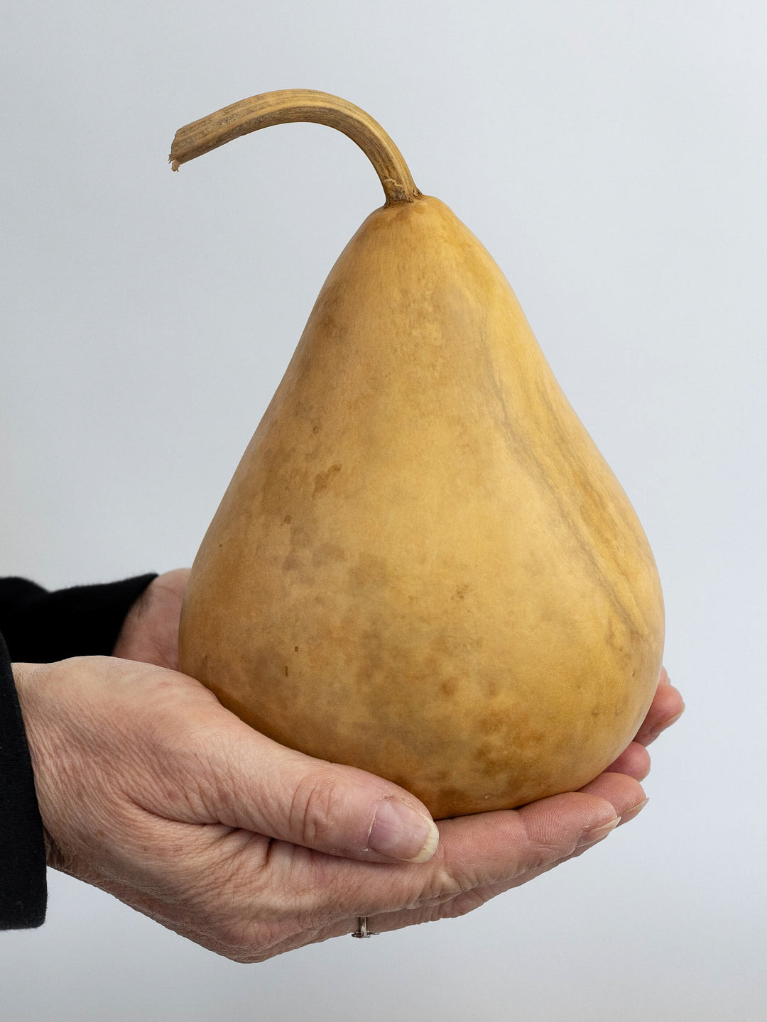 Four inch martin gourd in hand at Meadowbrooke Gourds