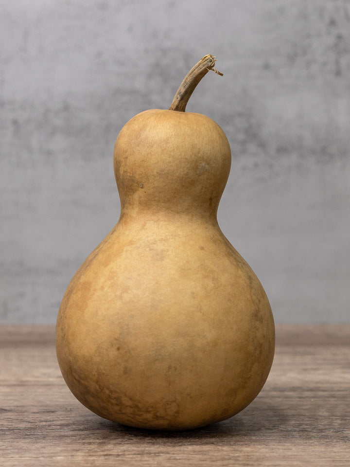 Dried 4 Inch Bottle Gourd