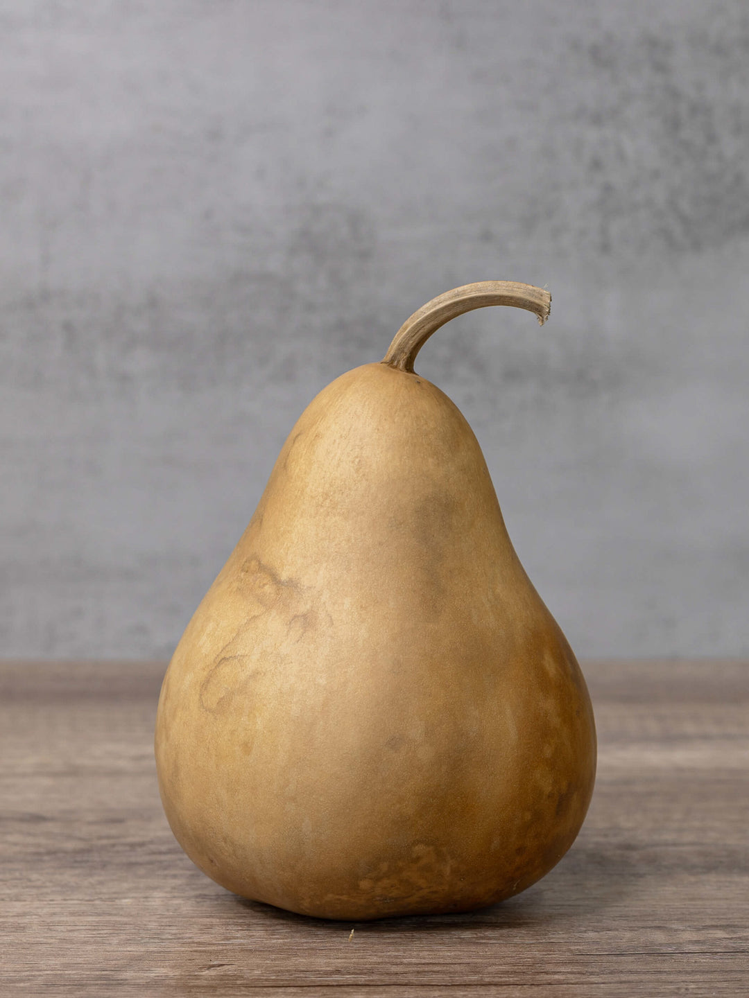 Four inch martin gourd at Meadowbrooke Gourds