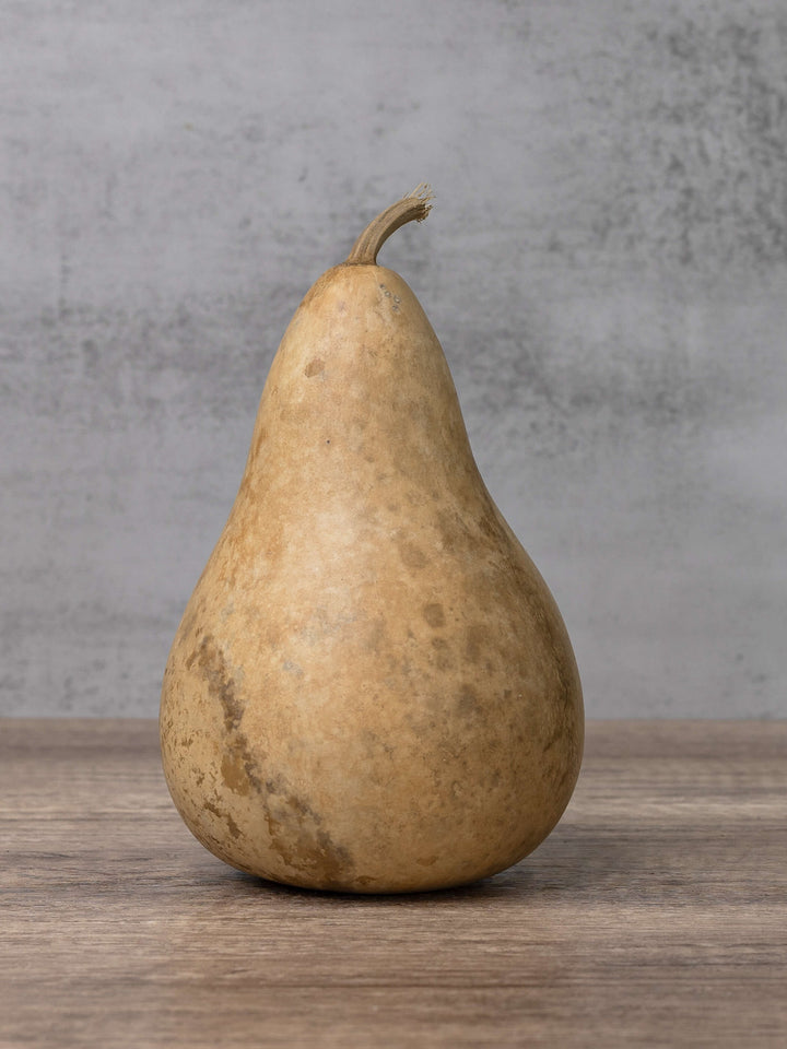 Four inch martin gourd at Meadowbrooke Gourds