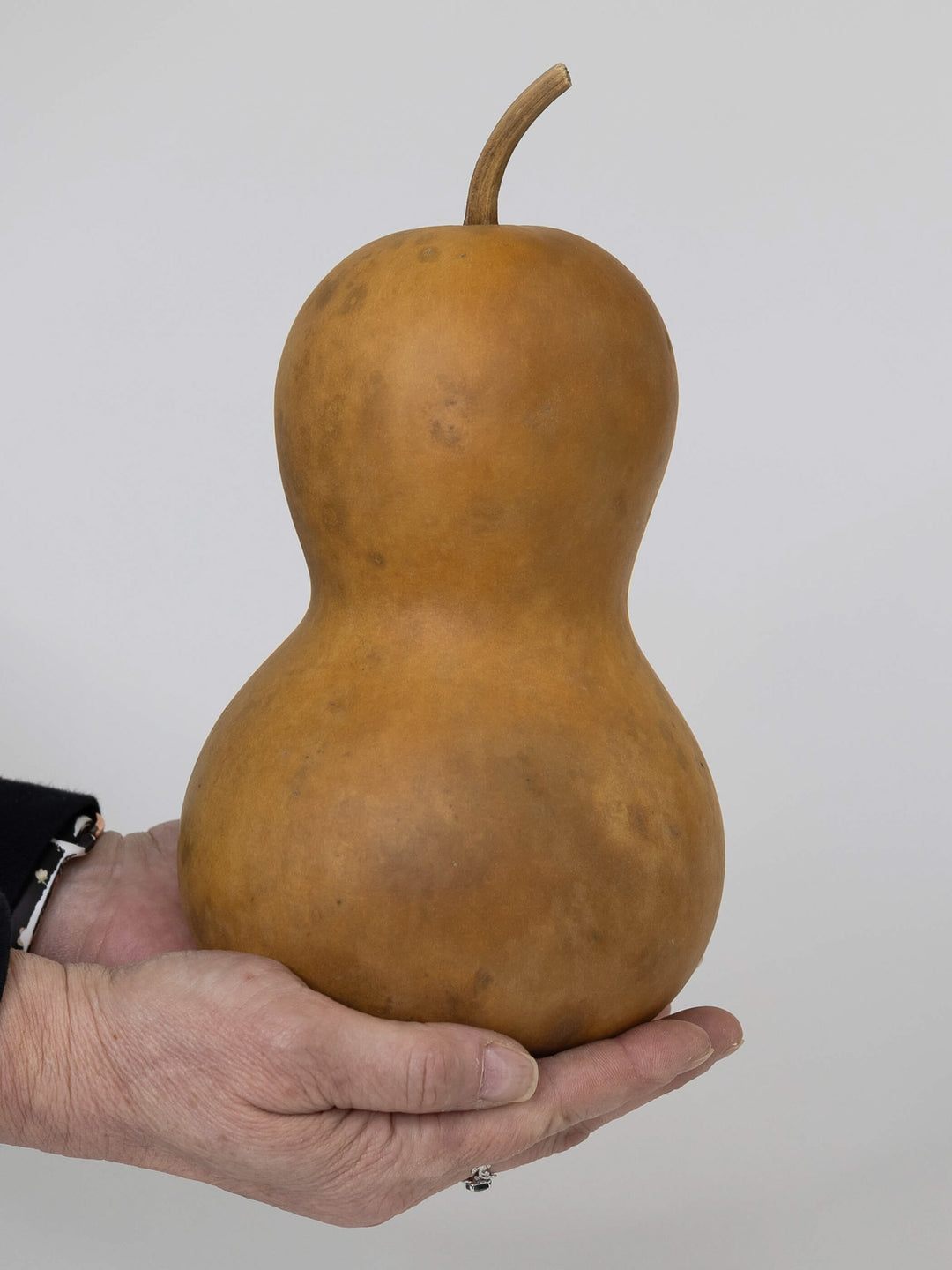 Five inch bottle gourd at Meadowbrooke Gourds