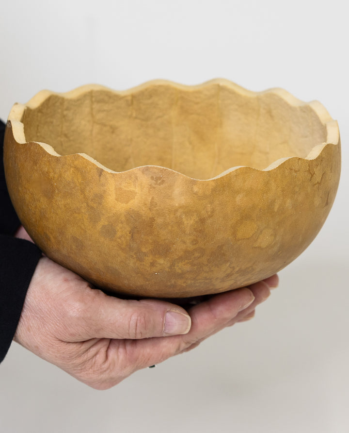 Seven inch raw unfinished scallop cut bowl gourd at Meadowbrooke Gourds