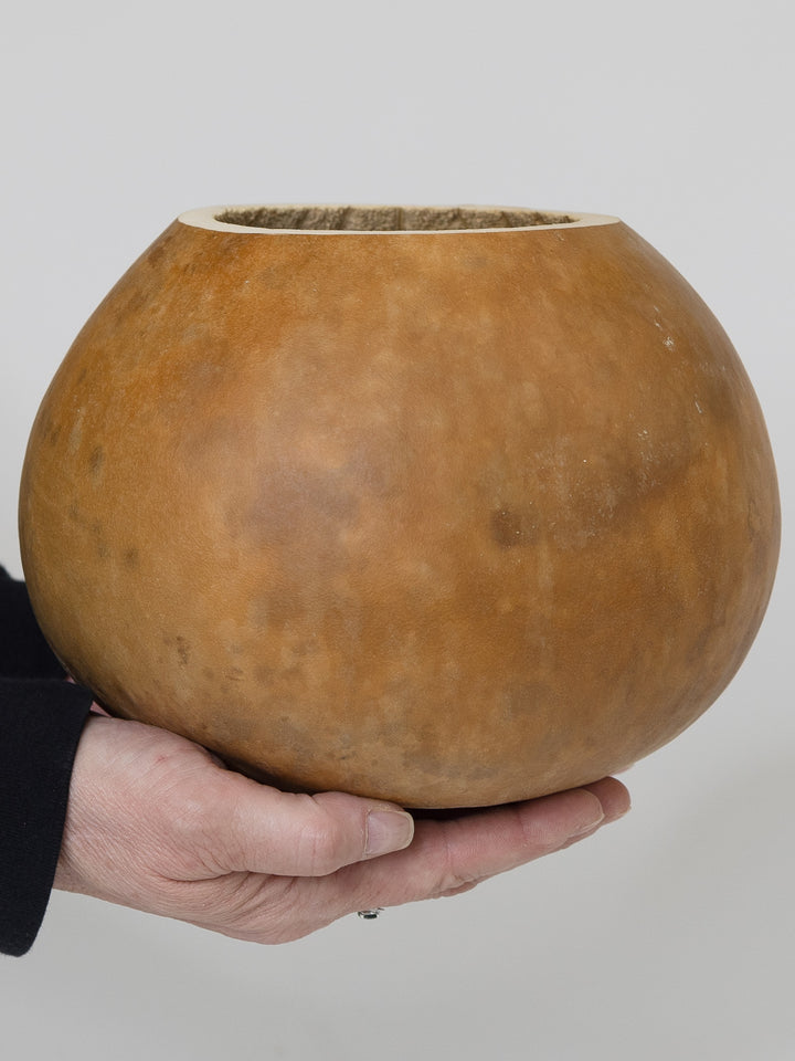 Eight inch raw unfinished bowl gourd at Meadowbrooke Gourds