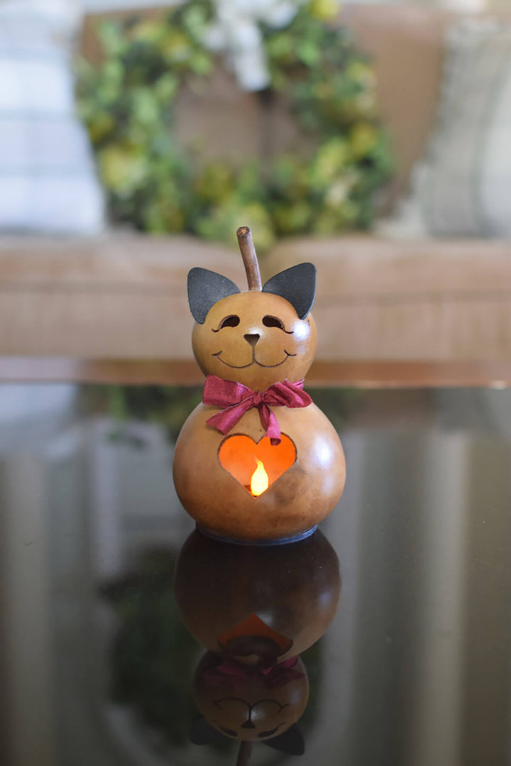 Miniature Katie the cat gourd at Meadowbrooke Gourds