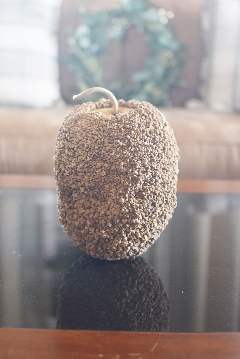 African Warty Gourd Seed – Meadowbrooke Gourds