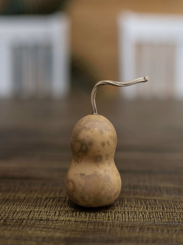 Two inch bottle gourd