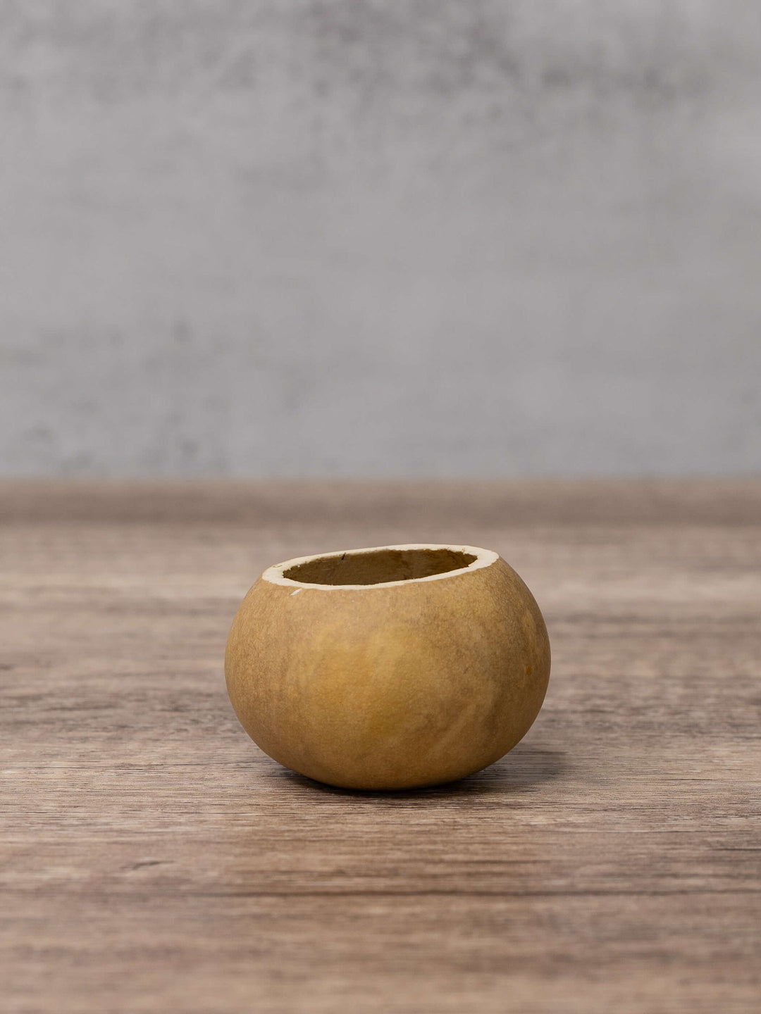 Two inch gourd bowl at Meadowbrooke Gourds