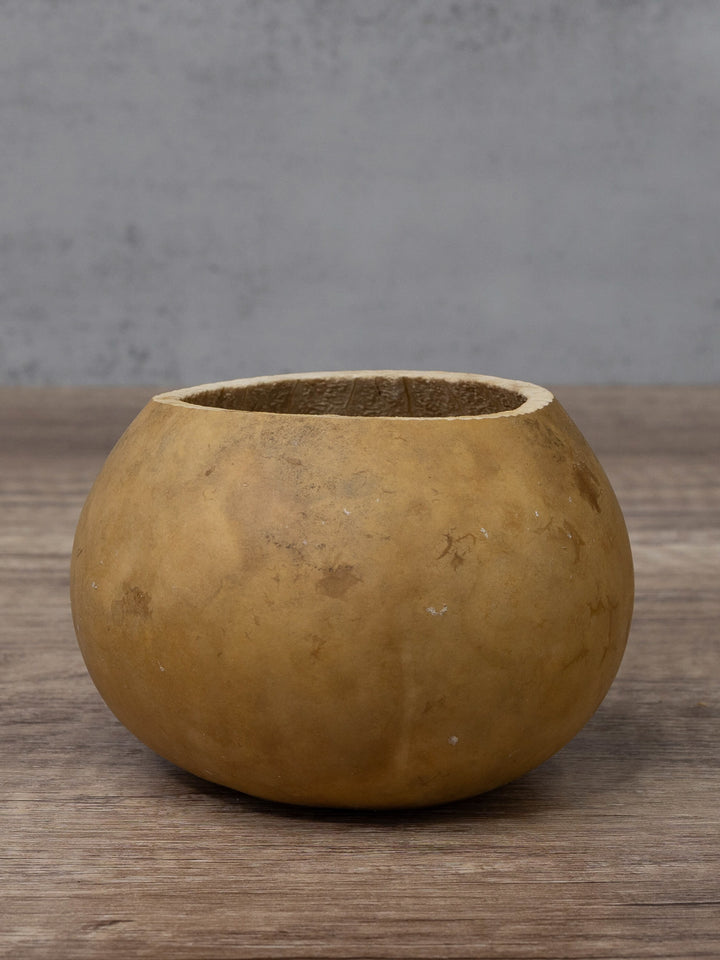 Four inch gourd bowl at Meadowbrooke Gourds