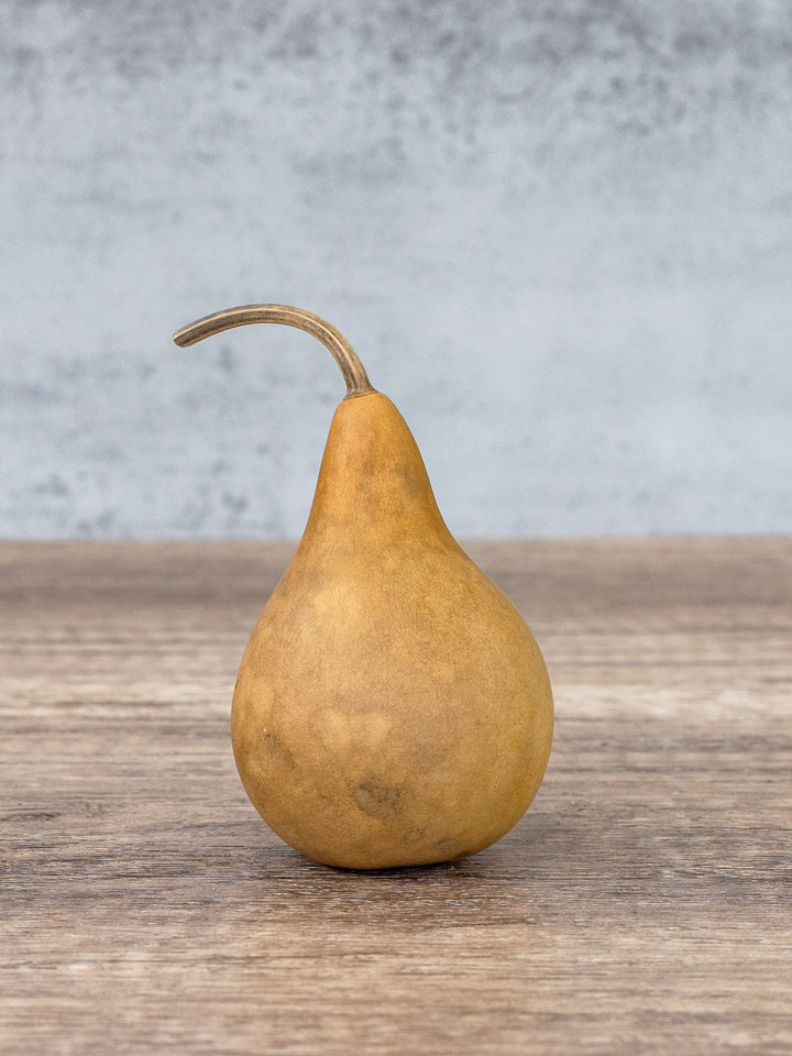 Two inch martin gourd at Meadowbrooke Gourds