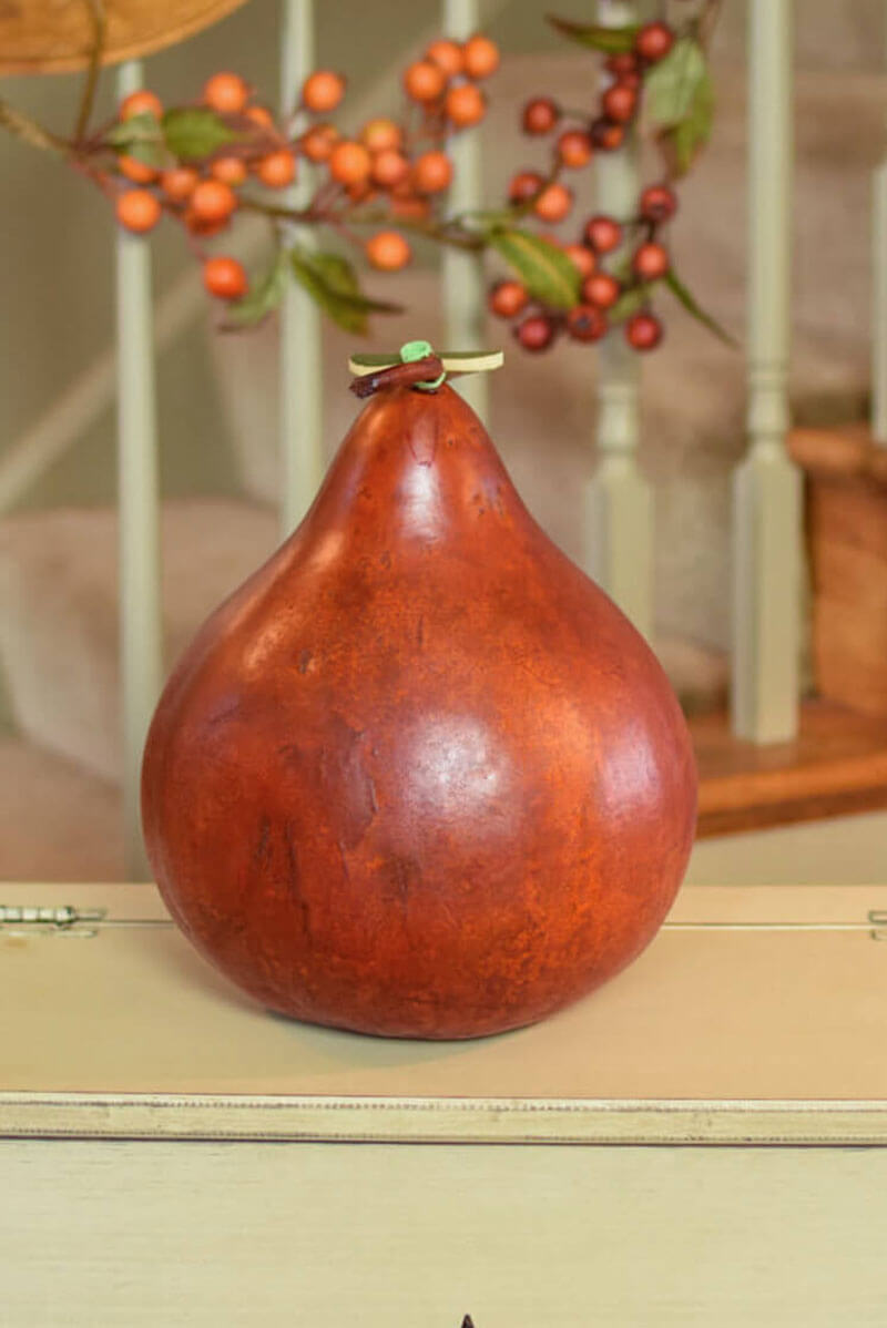 Jack o Lantern Candy Dish at Meadowbrooke Gourds back