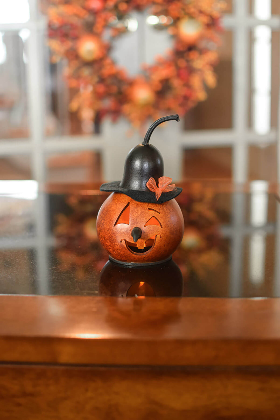 Klarissa the witch gourd at Meadowbrooke Gourds