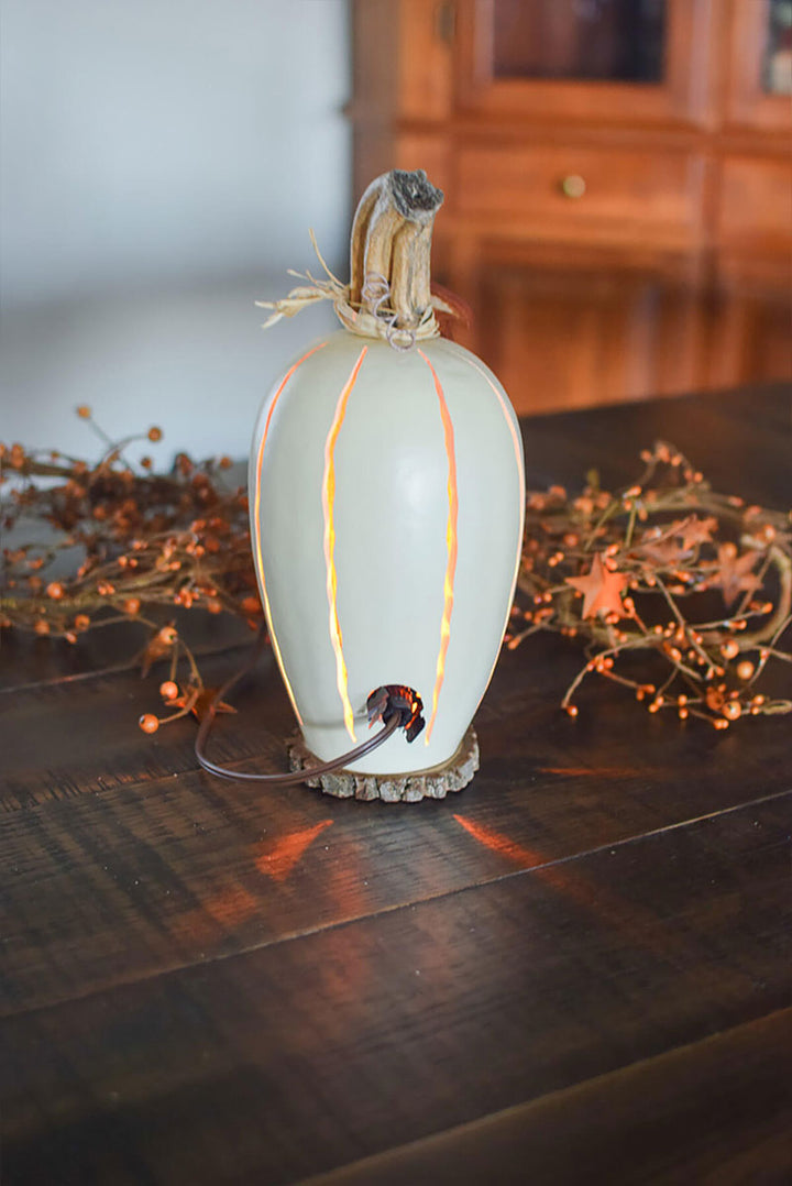 White luminary gourd back