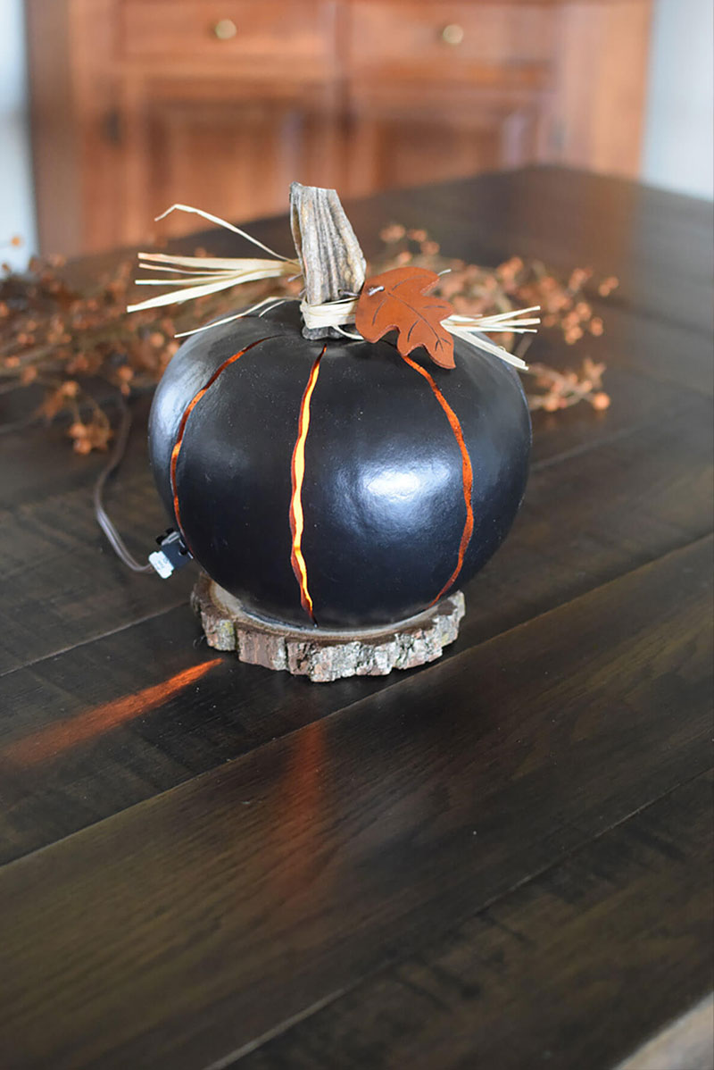 Black luminary gourd