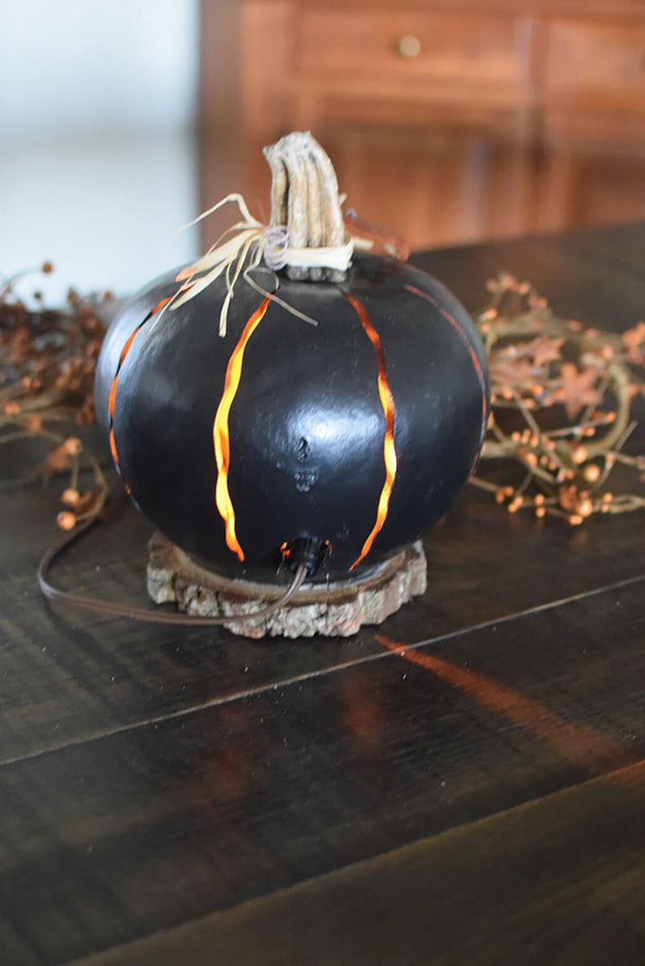 Black luminary gourd back