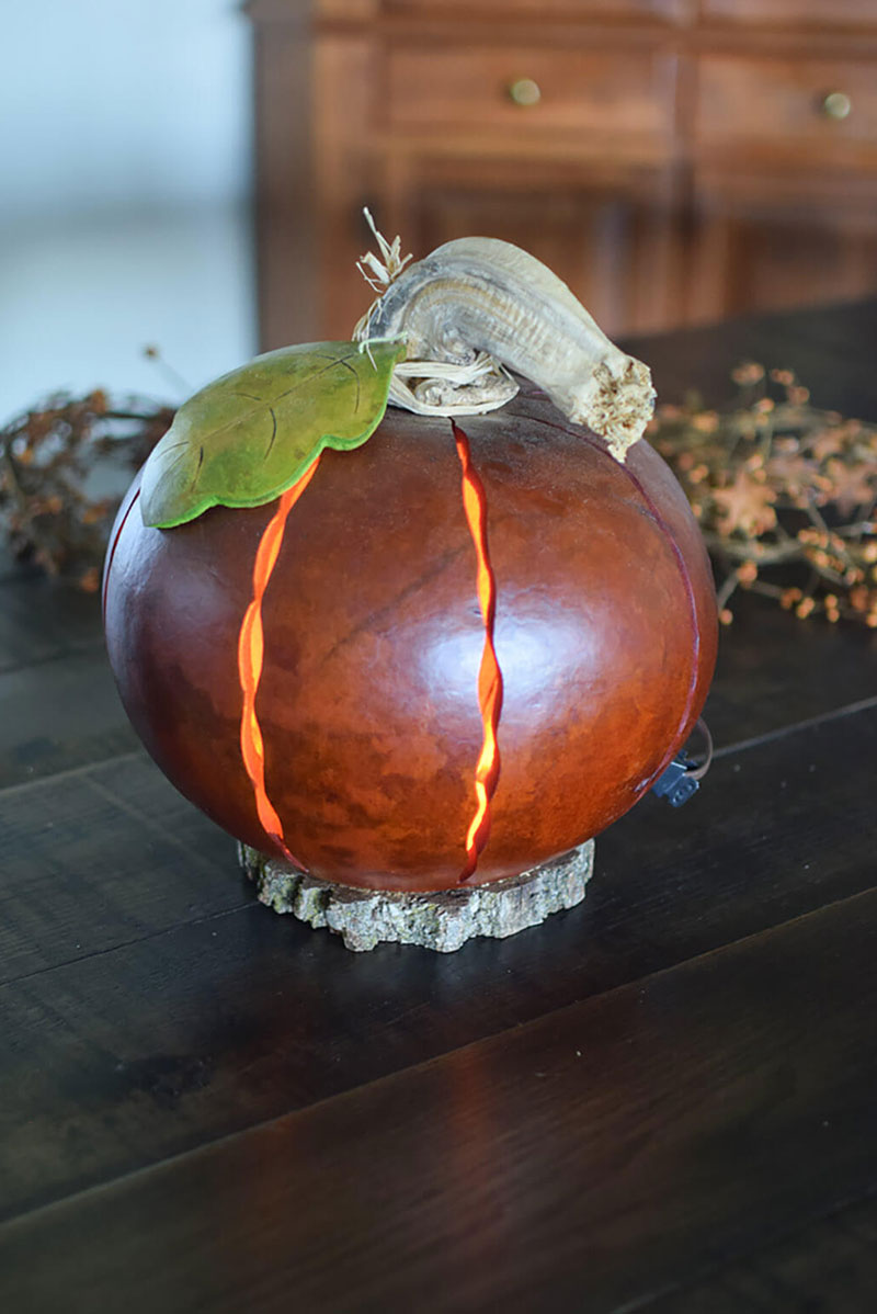 Orange luminary gourd