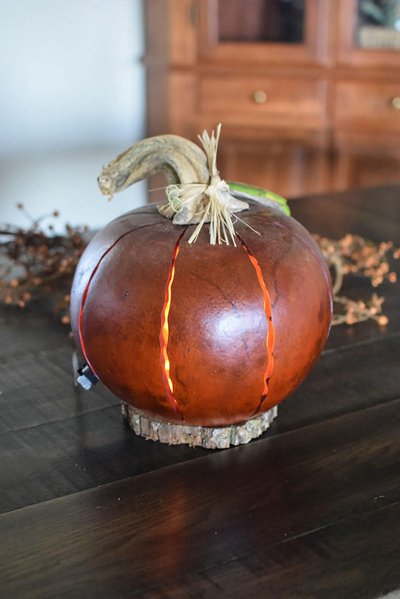 Orange luminary gourd side