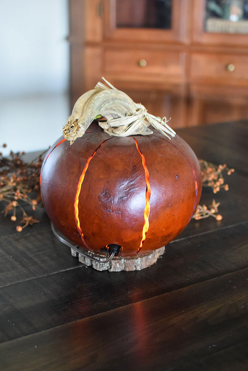 Orange luminary gourd back