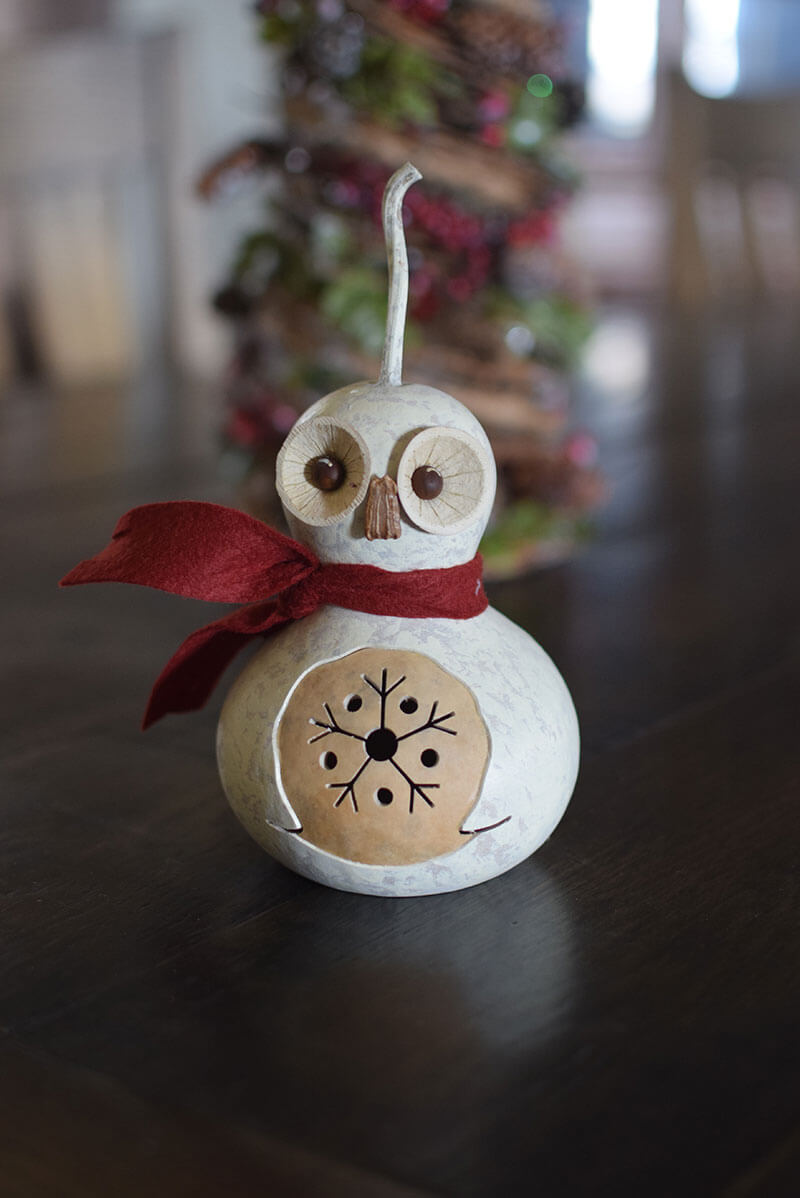 Owl Craft Kit Finished at Meadowbrooke Gourds. 