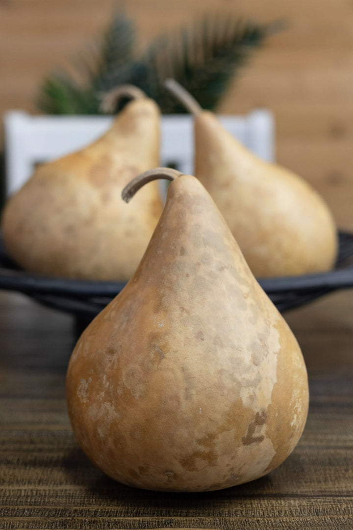 Five inch martin gourds at Meadowbrooke Gourds