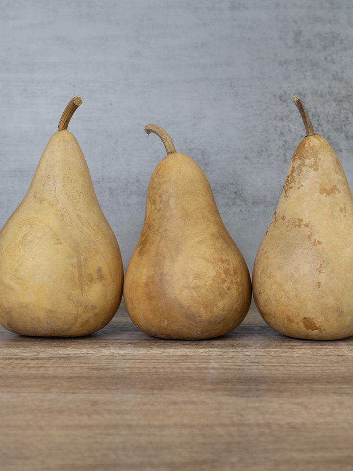 Five inch martin gourds at Meadowbrooke Gourds