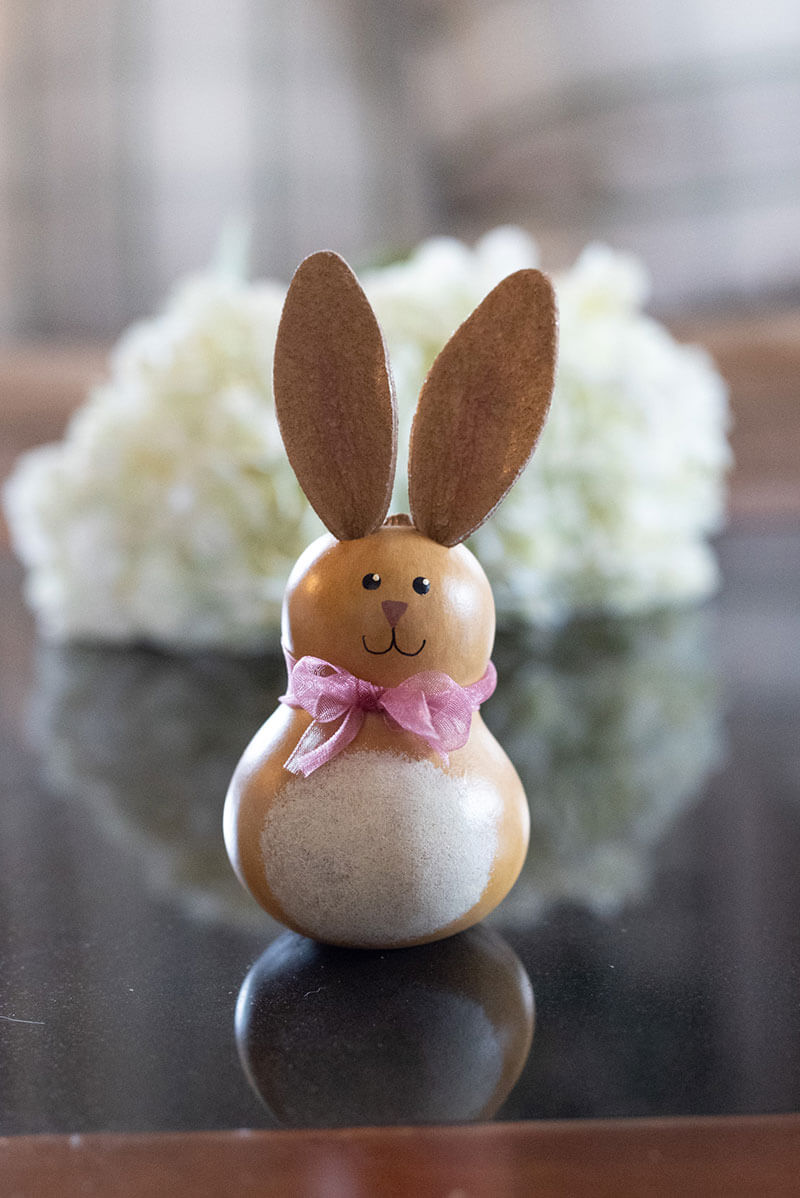 Blossom Bunny Gourd at Meadowbrooke Gourds. 