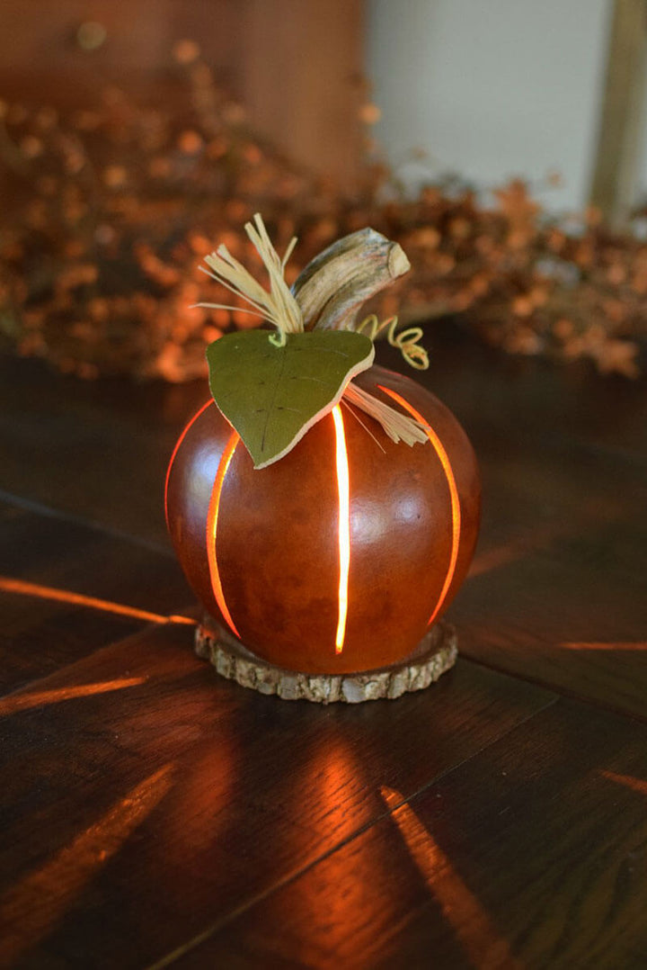 Small orange pumpkin luminary gourd at Meadowbrooke Gourds