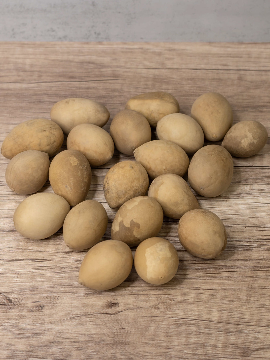 Raw unfinished gourd eggs at Meadowbrooke Gourds