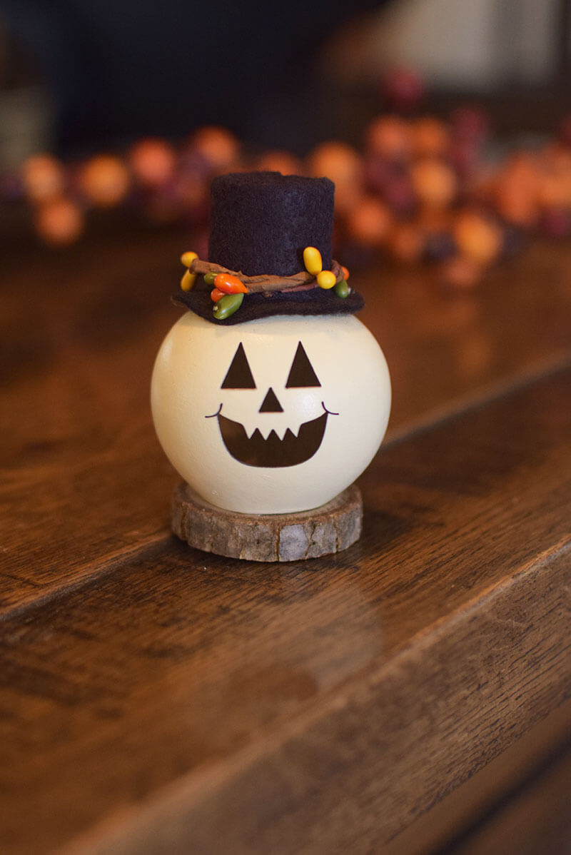 Tiny white Jaxon Jack-o-Lantern gourd at Meadowbrooke Gourds.