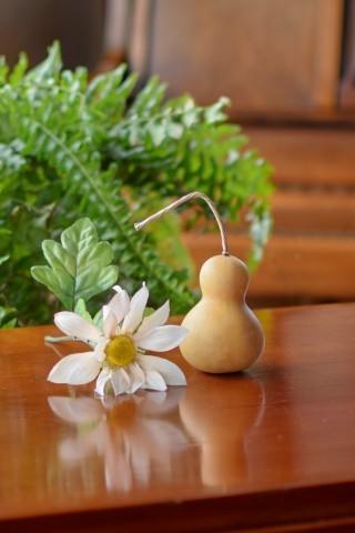 Cleaned raw bottle gourd