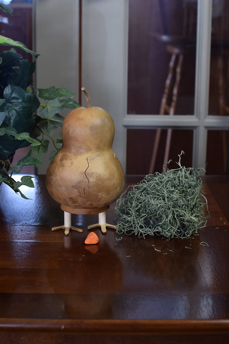 Chick gourd kit unfinished