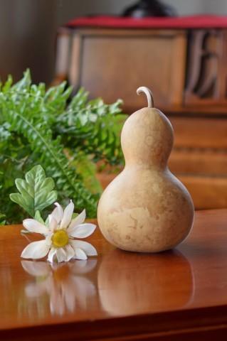 Clean raw bottle gourd