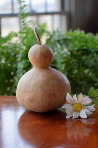 Clean raw bottle gourd