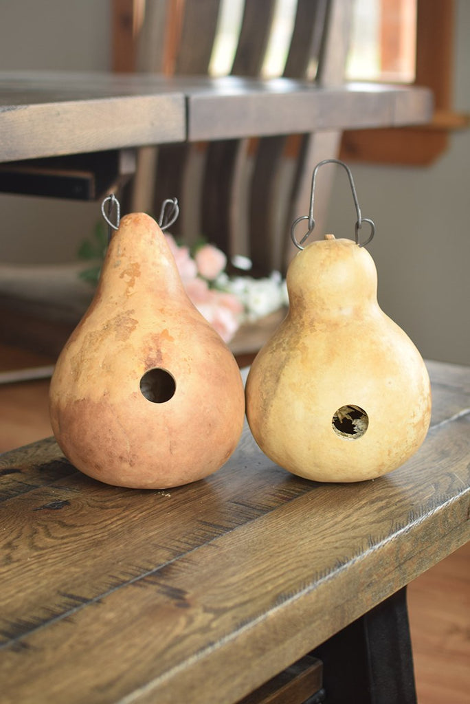 Rae top Dunn gourd birdhouses bundle