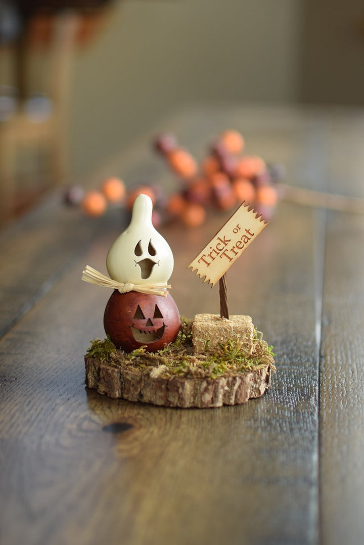 Little Casper Jack gourd scene  at Meadowbrooke Gourds