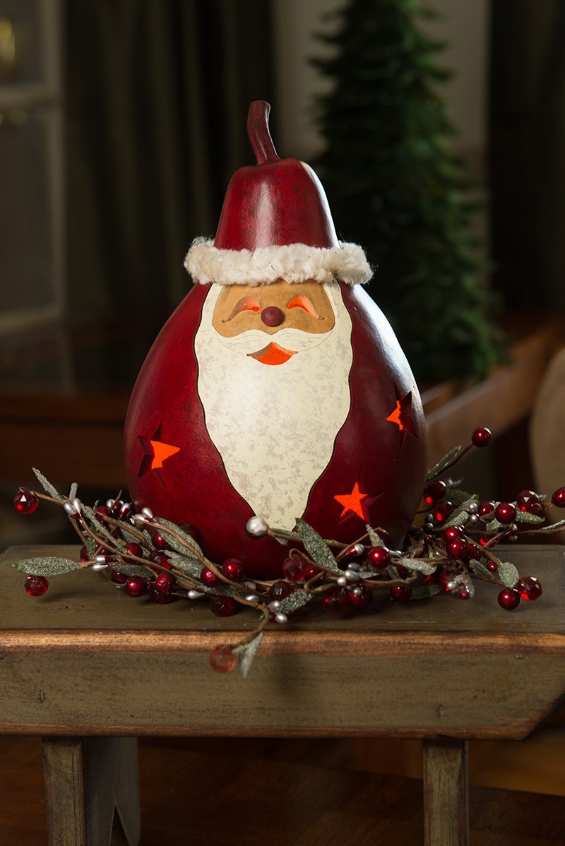 Santa - Medium Lit Christmas Winter Gourd Decor – Meadowbrooke Gourds