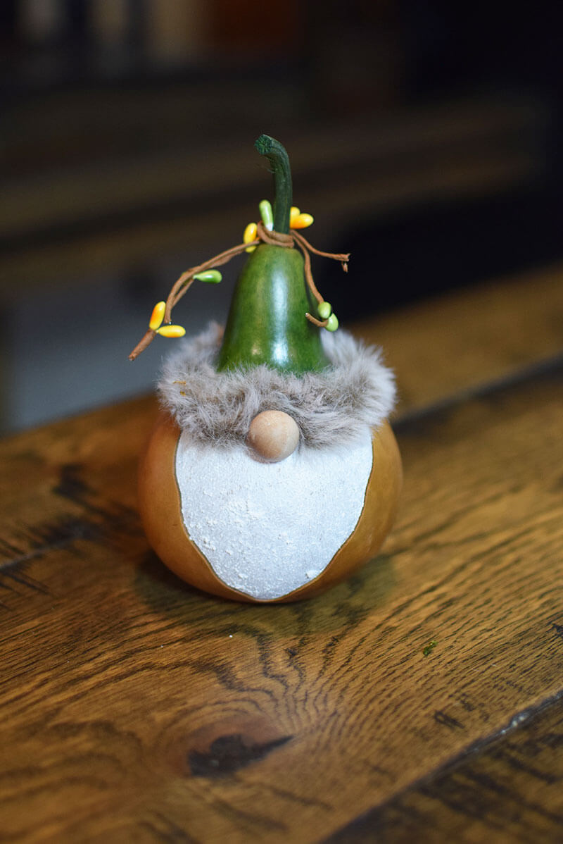 Small gnome gourd